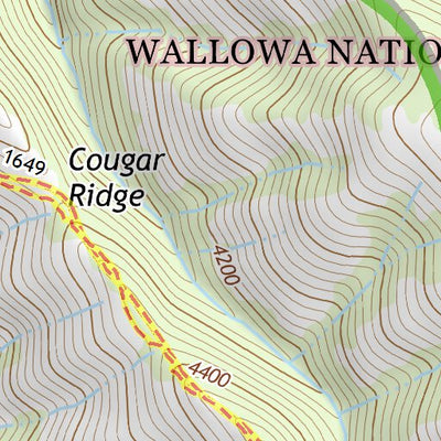 45117NW Page 105 Wallowa Topo Preview 3