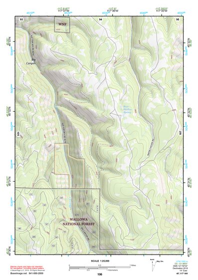 45117NW Page 106 Wallowa Topo Preview 1