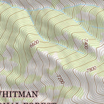 45117SE Page 89 Enterprise Topo Preview 3