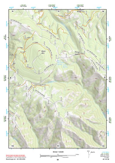 45118NE Page 91 Pendleton Topo Preview 1