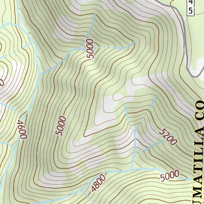 45118NE Page 106 Pendleton Topo Preview 3