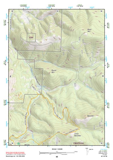 45119SE Page 65 Heppner Topo Preview 1