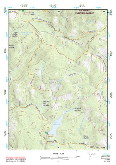 45119SE Page 77 Heppner Topo Preview 1