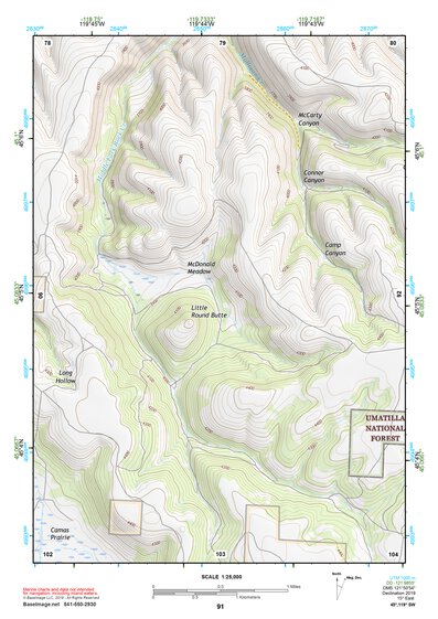 45119SW Page 91 Heppner Topo Preview 1