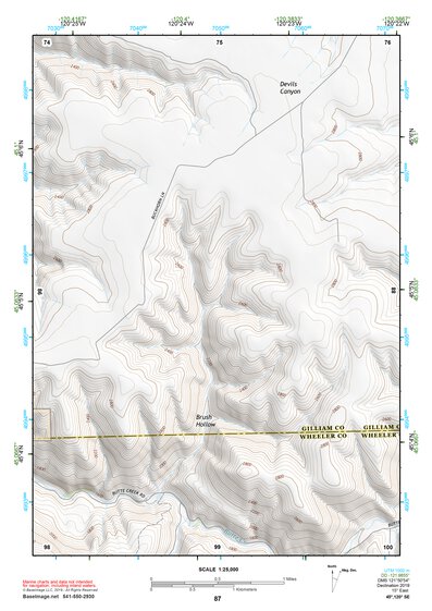 45120SE Page 87 Condon Topo Preview 1