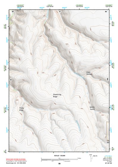 45120SW Page 99 Condon Topo Preview 1