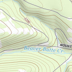 45121SW Page 95 Mount Hood Topo Preview 2