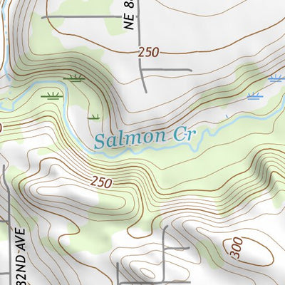 45122NW Page 59 Vancouver Topo Preview 3