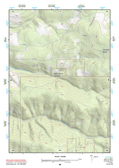 45122SE Page 89 Oregon City Topo Preview 1