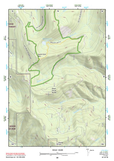 45122SE Page 91 Oregon City Topo Preview 1