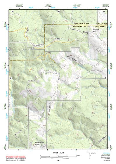 45123NE Page 99 Nehalem River Topo Preview 1