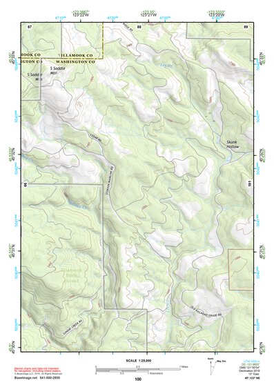 45123NE Page 100 Nehalem River Topo Preview 1