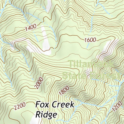 45123NW Page 107 Nehalem River Topo Preview 2