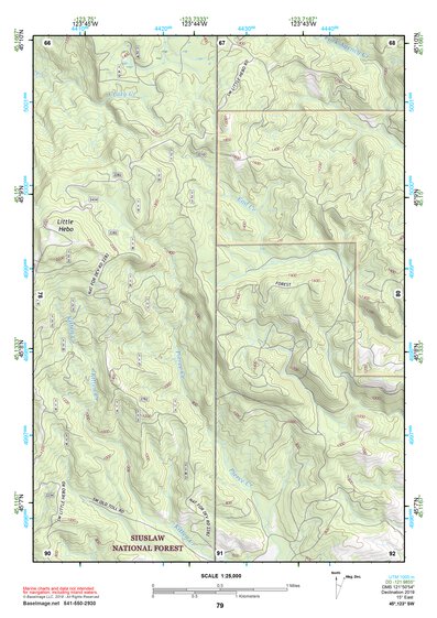 45123SW Page 79 Yamhill River Topo Preview 1