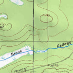 (46069a1) Page 067 Chamberlain Lake Preview 2