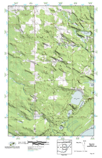 (46085a1) Page 089 Manistique Lake Preview 1