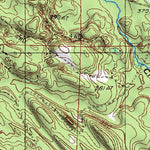(46087a1) Page 046 Gwinn Preview 3