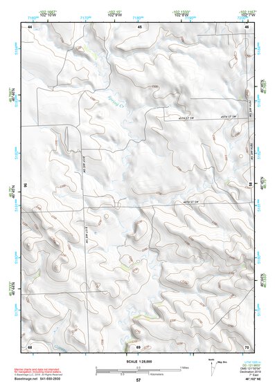 46102NE Page 57 Dickinson Topo Preview 1