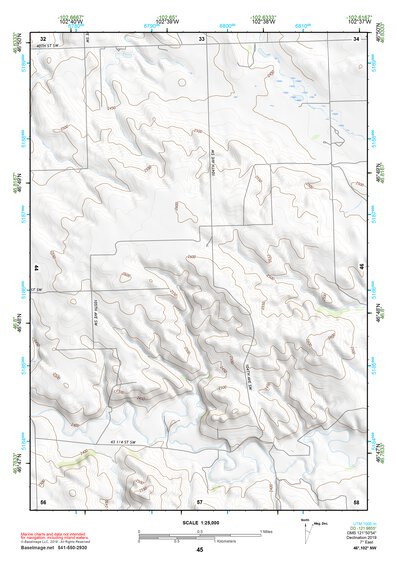 46102NW Page 45 Dickinson Topo Preview 1