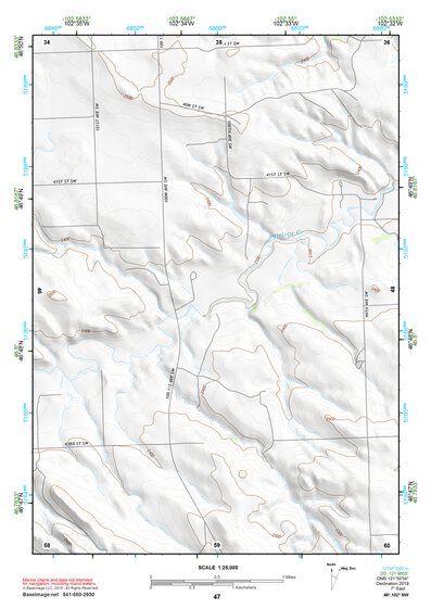 46102NW Page 47 Dickinson Topo Preview 1