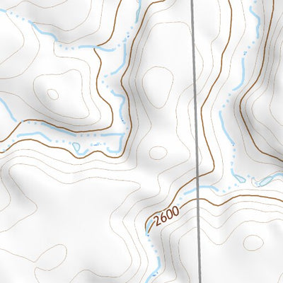 46102NW Page 95 Dickinson Topo Preview 3