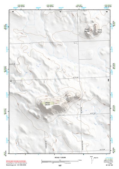 46102NW Page 107 Dickinson Topo Preview 1