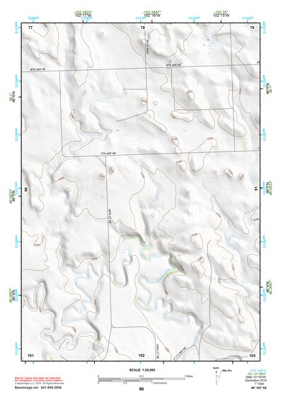 46102SE Page 90 Mott Topo Preview 1