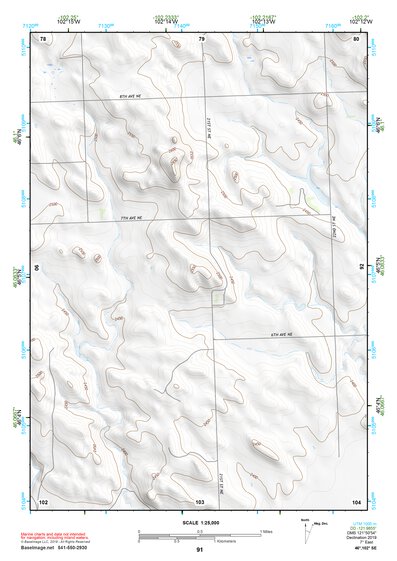 46102SE Page 91 Mott Topo Preview 1