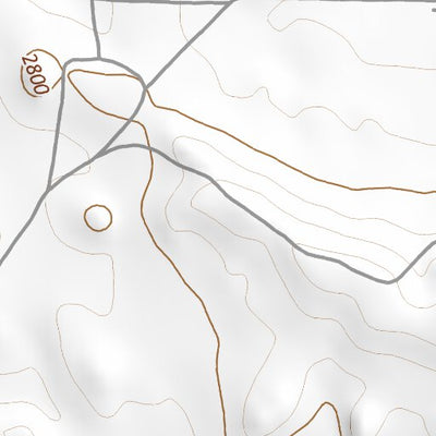 46103SE Page 1 Bowman Topo Preview 2