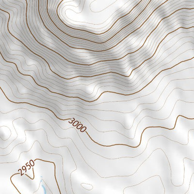 46103SE Page 11 Bowman Topo Preview 3