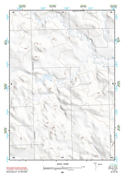 46103SE Page 95 Bowman Topo Preview 1