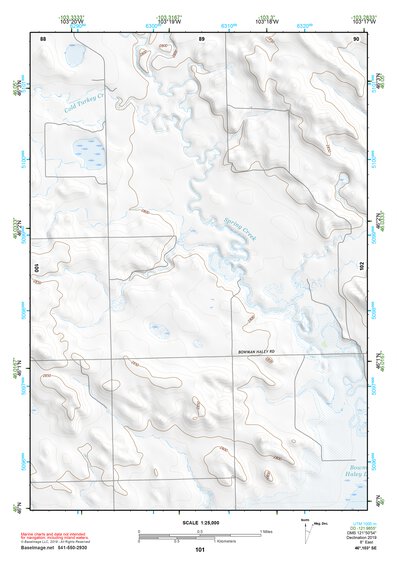 46103SE Page 101 Bowman Topo Preview 1