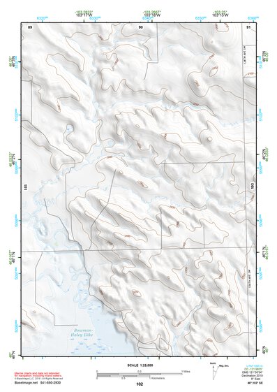 46103SE Page 102 Bowman Topo Preview 1