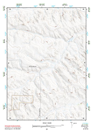 46106SE Page 77 Forsyth Topo Preview 1