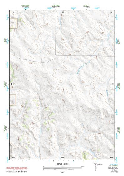 46106SE Page 89 Forsyth Topo Preview 1