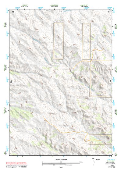 46106SE Page 103 Forsyth Topo Preview 1