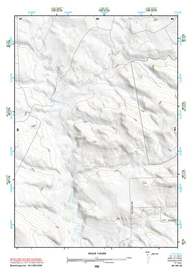 46108SE Page 100 Roundup Topo Preview 1