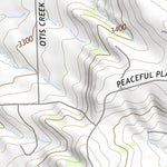 46108SE Page 101 Roundup Topo Preview 3
