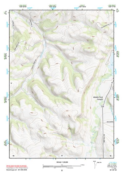 46109NE Page 5 Big Snowy Mountains Topo Preview 1