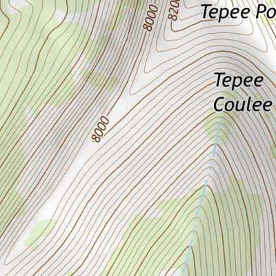 46109NE Page 52 Big Snowy Mountains Topo Preview 3