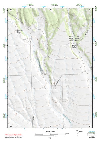 46109NE Page 78 Big Snowy Mountains Topo Preview 1