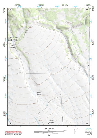 46109NE Page 79 Big Snowy Mountains Topo Preview 1