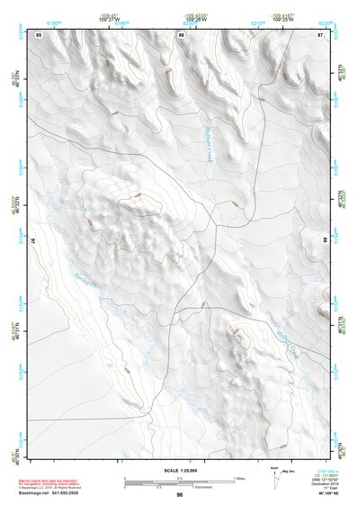 46109NE Page 98 Big Snowy Mountains Topo Preview 1