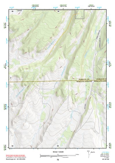 46109NW Page 72 Big Snowy Mountains Topo Preview 1