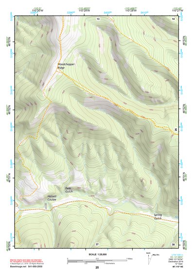 46110NE Page 25 White Sulphur Springs Topo Preview 1
