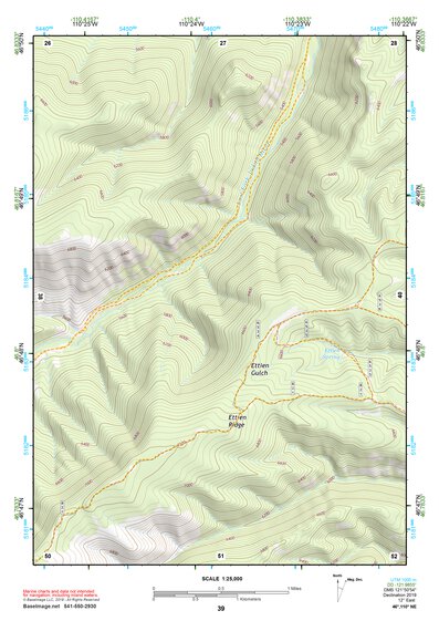 46110NE Page 39 White Sulphur Springs Topo Preview 1