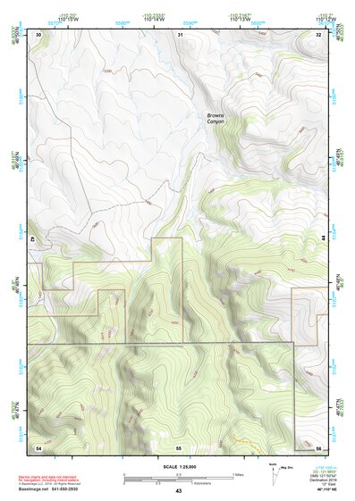 46110NE Page 43 White Sulphur Springs Topo Preview 1