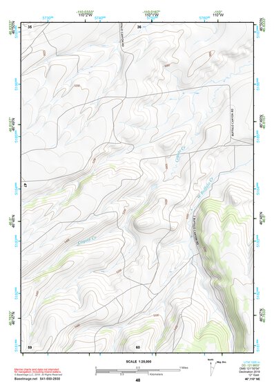 46110NE Page 48 White Sulphur Springs Topo Preview 1
