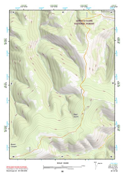 46110NE Page 55 White Sulphur Springs Topo Preview 1