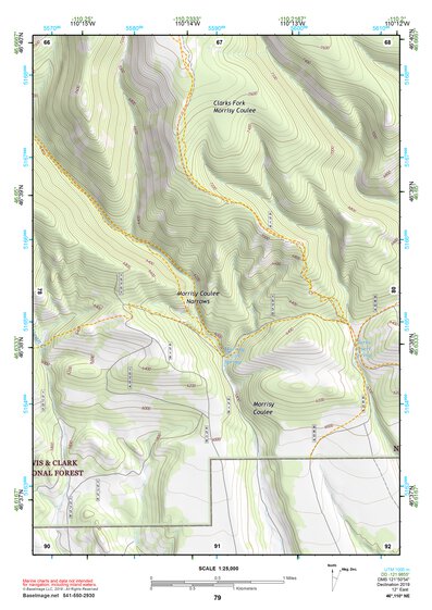 46110NE Page 79 White Sulphur Springs Topo Preview 1